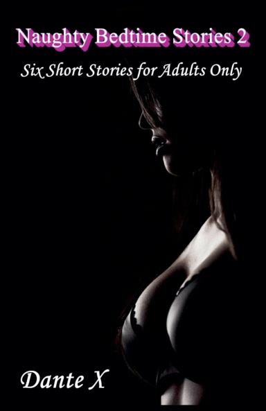 Naughty Bedtime Stories 2