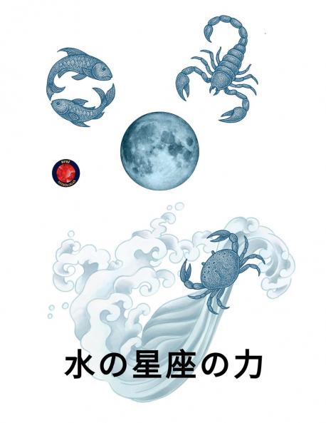 水の星座の力