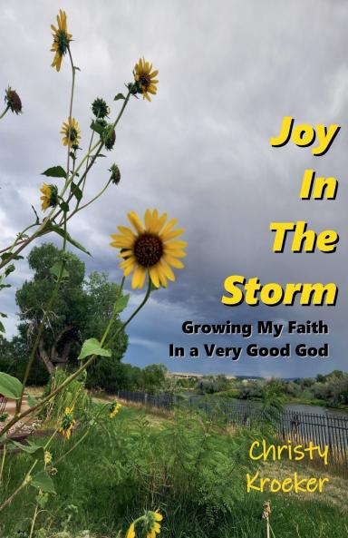 Joy In The Storm