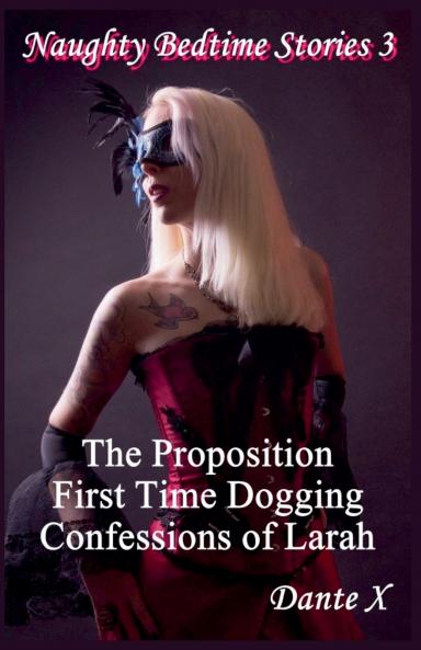 Naughty Bedtime Stories 3