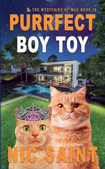Purrfect Boy Toy