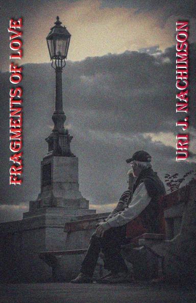 Fragments of Love