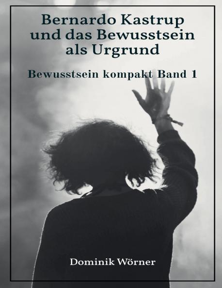 Bernardo Kastrup und das Bewusstsein als Urgrund