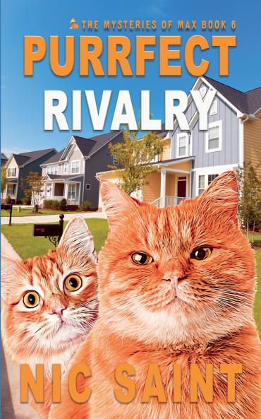 Purrfect Rivalry