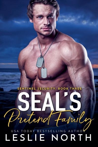 SEAL's Pretend Family
