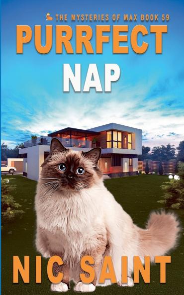 Purrfect Nap