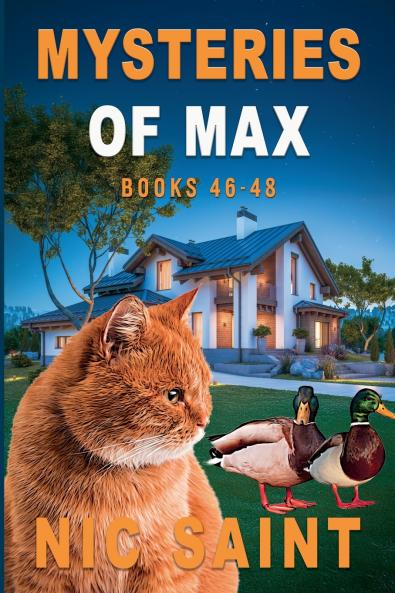 Mysteries of Max