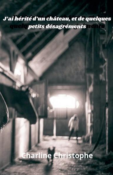 J'ai hérité d'un chateau et quelques désagréments