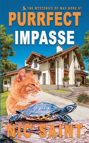 Purrfect Impasse