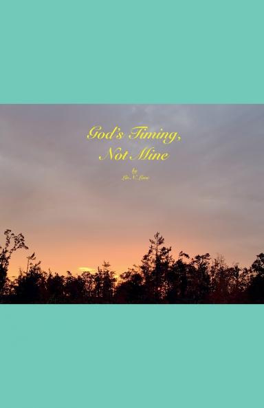 God's Timing Not Mine