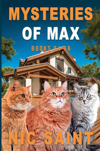 Mysteries of Max