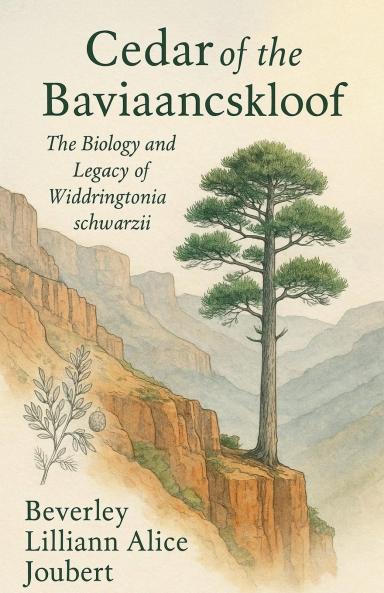 Cedar of the Baviaanskloof