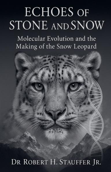 Echoes of Stone and Snow