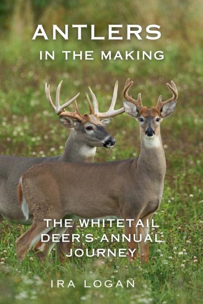 Antlers in the Making