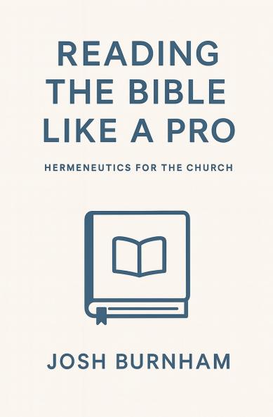 Reading the Bible Like a Pro