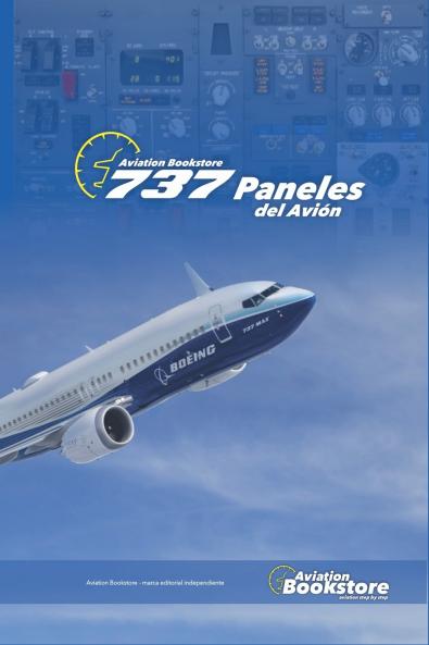 737 Paneles del avión