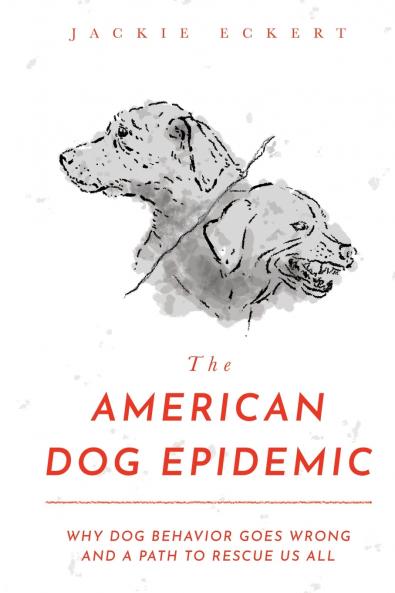 The American Dog Epidemic