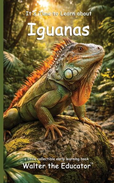 It's Time to Learn about Iguanas