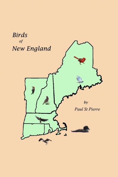 Birds of New England