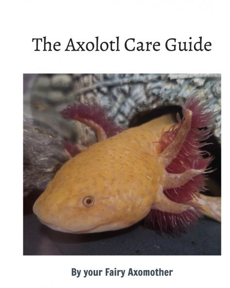 The Axolotl Care Guide