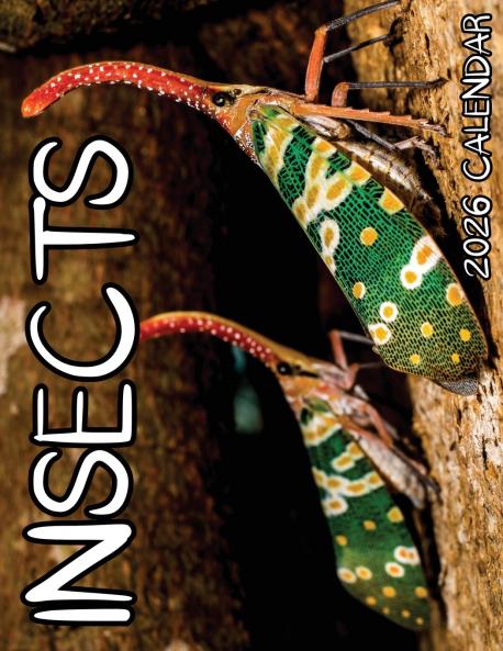 Insects 2026 Calendar