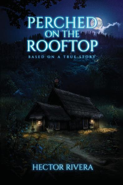 Perched On The Rooftop