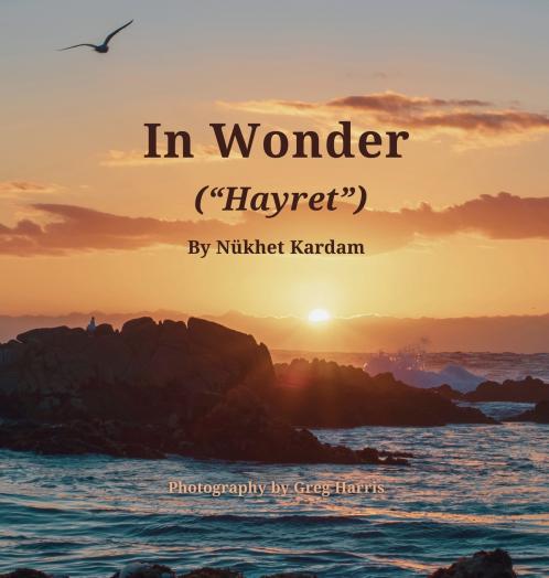 In Wonder (Hayret)