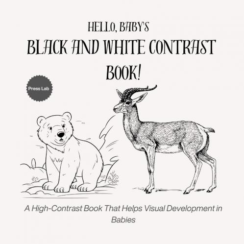 Hello Baby's Black and White Contrast Book!