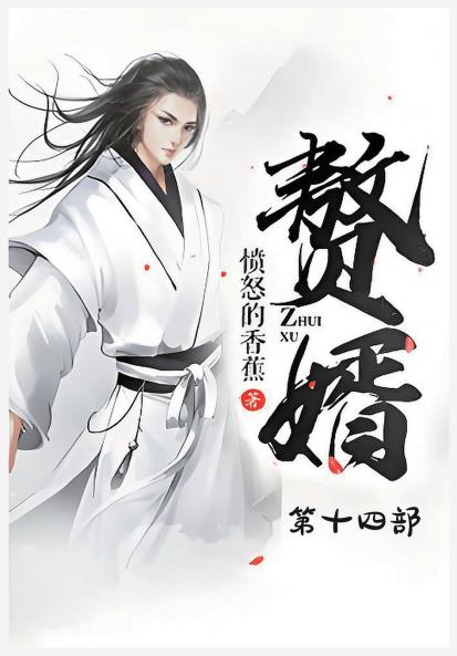 赘婿：第十四部