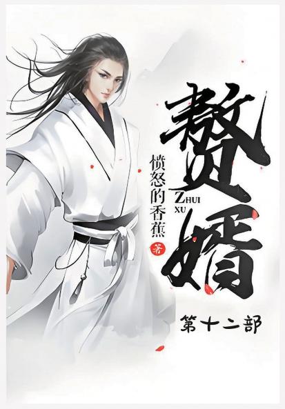 赘婿：第十二部