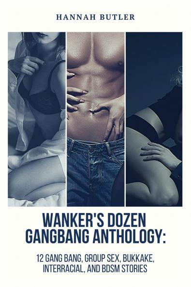 Wanker's Dozen Gang Bang Anthology