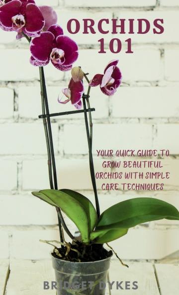 Orchids 101