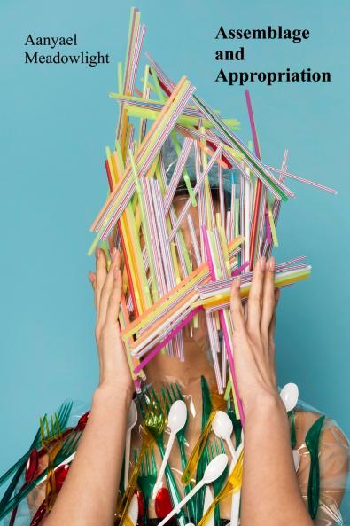 Assemblage and Appropriation