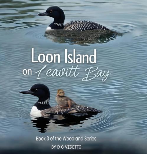 Loon Island on Leavitt Bay
