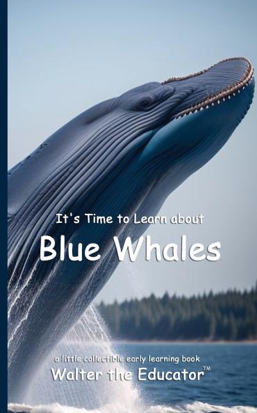 It's Time to Learn about Blue Whales