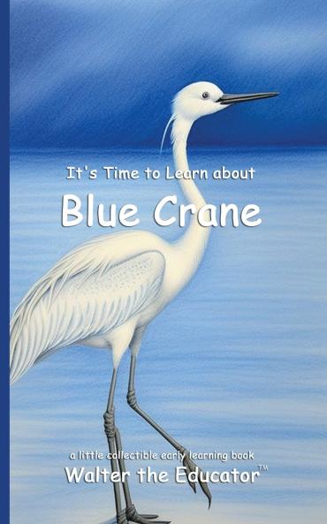 It's Time to Learn about Blue Cranes