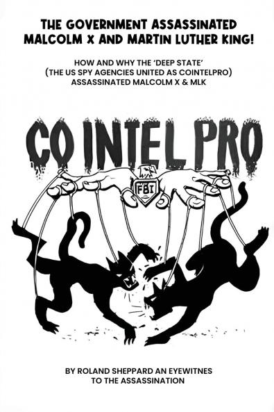 The Government Assasssinated