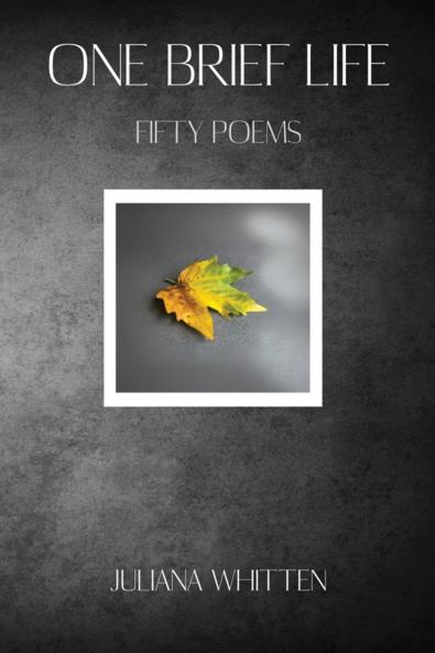 One Brief Life