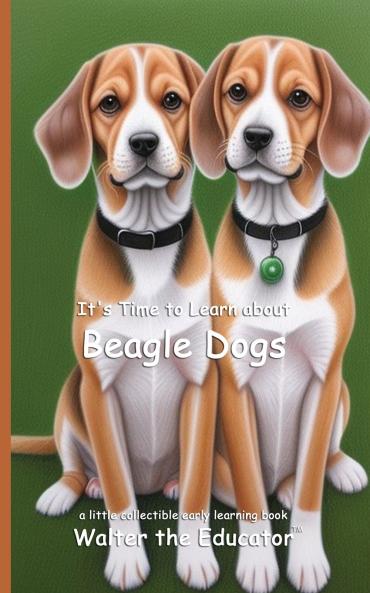It's Time to Learn about Beagle Dogs