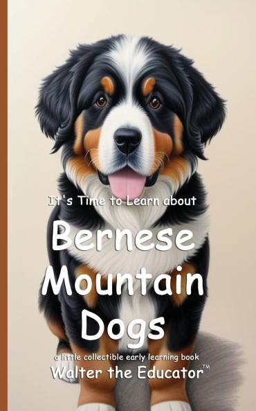 It's Time to Learn about Bernese Mountain Dogs