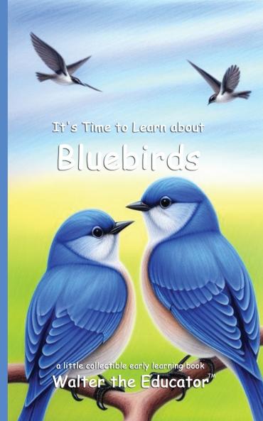 It's Time to Learn about Bluebirds