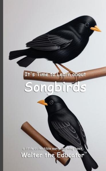 It's Time to Learn about Songbirds