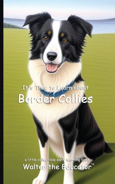 It's Time to Learn about Border Collies