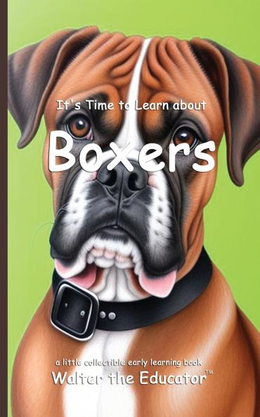 It's Time to Learn about Boxers