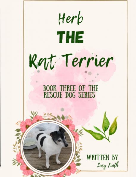 Herb The Rat Terrier