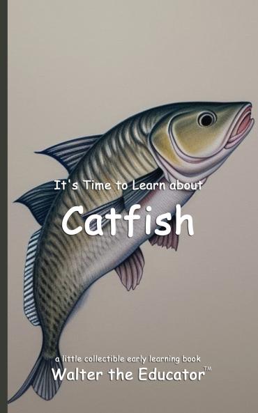 It's Time to Learn about Catfish