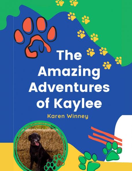 The Amazing Adventures of Kalyee