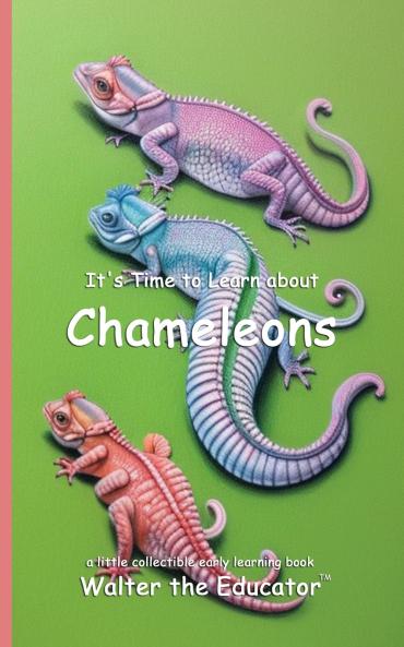 It's Time to Learn about Chameleons