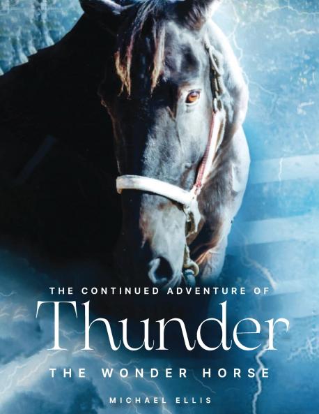 Thunder the Wonder Horse