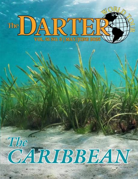 The Darter
